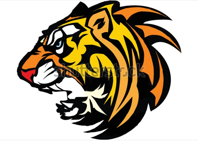 vector design tiger head