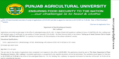 Project Associate BTech BSc Job Opportunities in Punjab Agricultural University