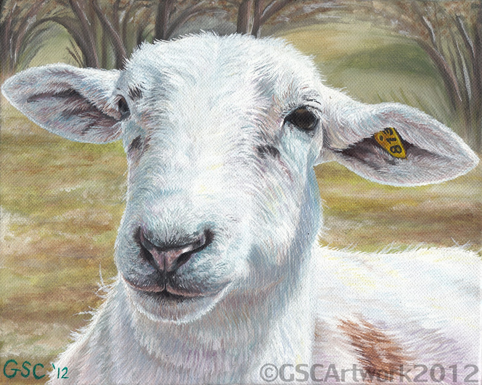 muffin katahdin ewe sheep farm animal portrait acrylic painting