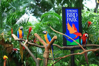 Tempat Wisata Di Singapore, Jurong Bird Park 3