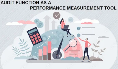 AUDIT FUNCTION AS A PERFORMANCE MEASUREMENT TOOL