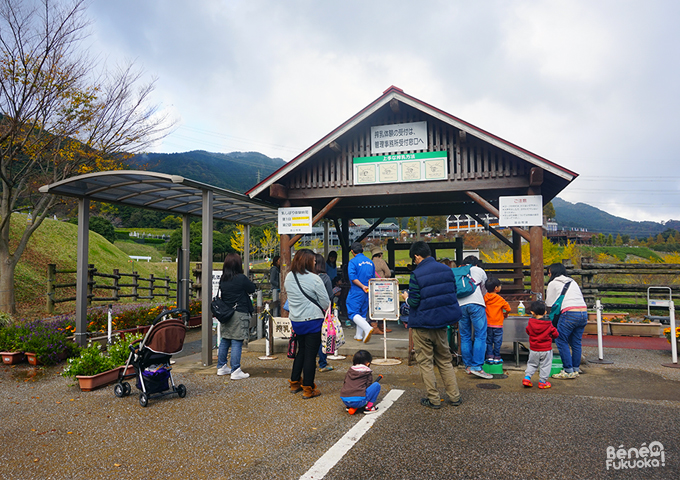 もーもーらんど、福岡