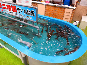 Squid fishing Hokkaido Hakodate morning market. Tokyo Consult. TokyoConsult.