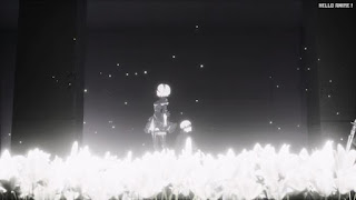 NieR Automata Ver1.1a アニメ OPテーマ escalate Aimer ニーア オートマタ
