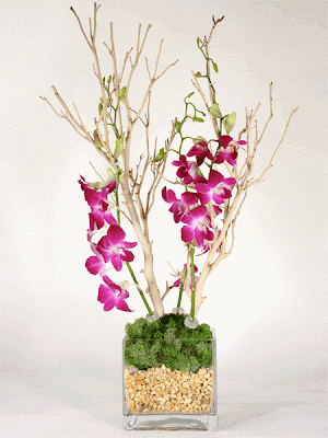 Here we made a Sandblasted Manzanita centerpiece with orchids using a branch