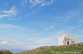 On the Isle of May by Cornelia Schulz