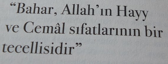 ALEME BİR YAR İÇİN AH ETMEYE GELDİK 2 (ALTI ÇİZİLİ SATIRLAR)