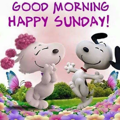 Happy good morning sunday Hd images and quotes downoad