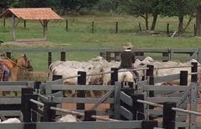 Homem é baleado acidentalmente ao tentar fugir de vaca em curral  