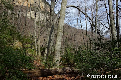 Ruta circular a les fonts del Fluvià