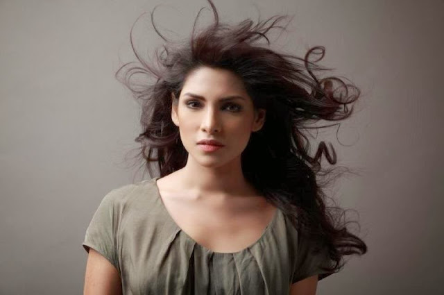 Zhalay Sarhadi HD Wallpapers Free Download