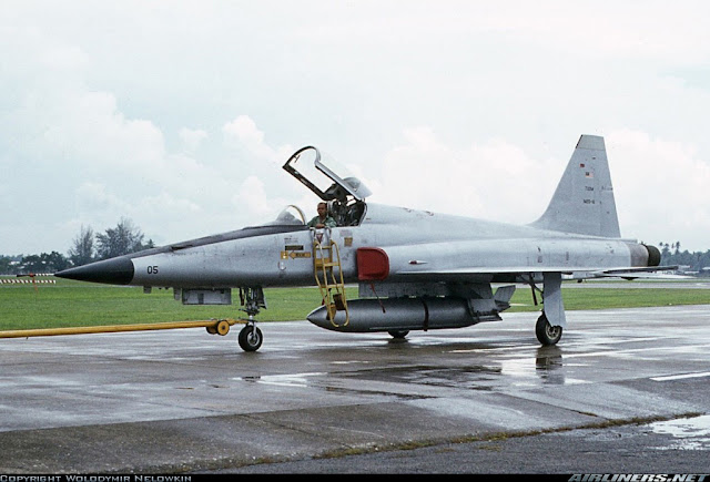 Dalam Kenangan F5E Dan Skyhawk