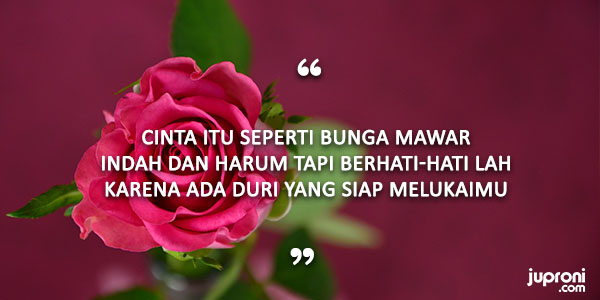 50 Kata Kata Mutiara 'Caption' Tentang Bunga - Juproni Quotes