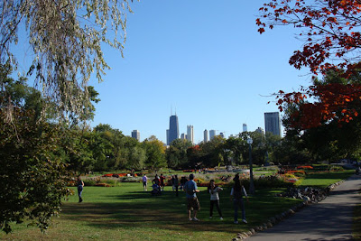 skyline from zoo