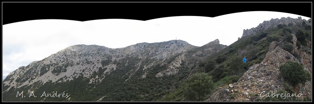 pano9