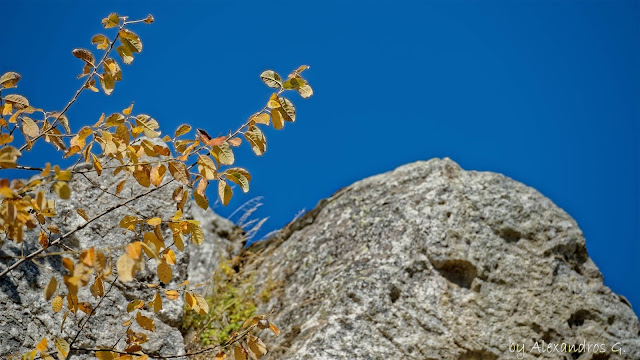 Autumn Colors (@Kaimaktsalan) - Χρώματα Φθινόπωρου (Καϊμακτσαλάν)