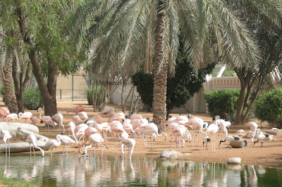 Al Ain Zoo