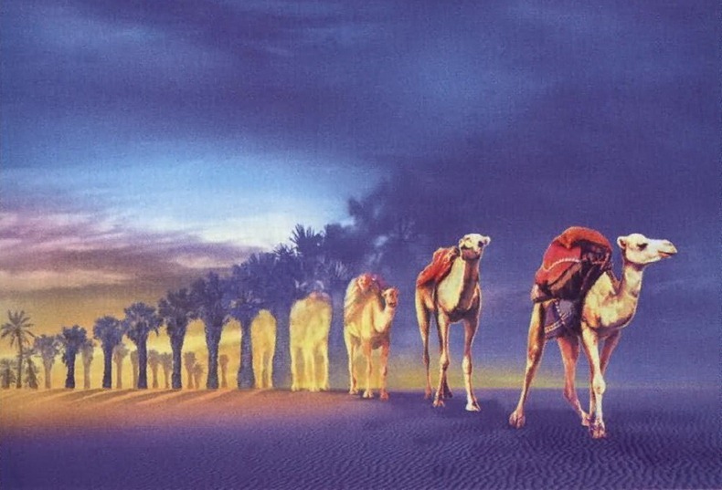 rob-gonsalves-27