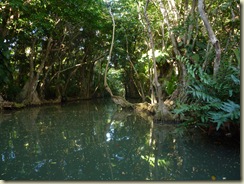 P1000481