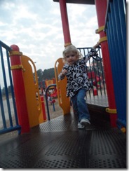 SAM_0337