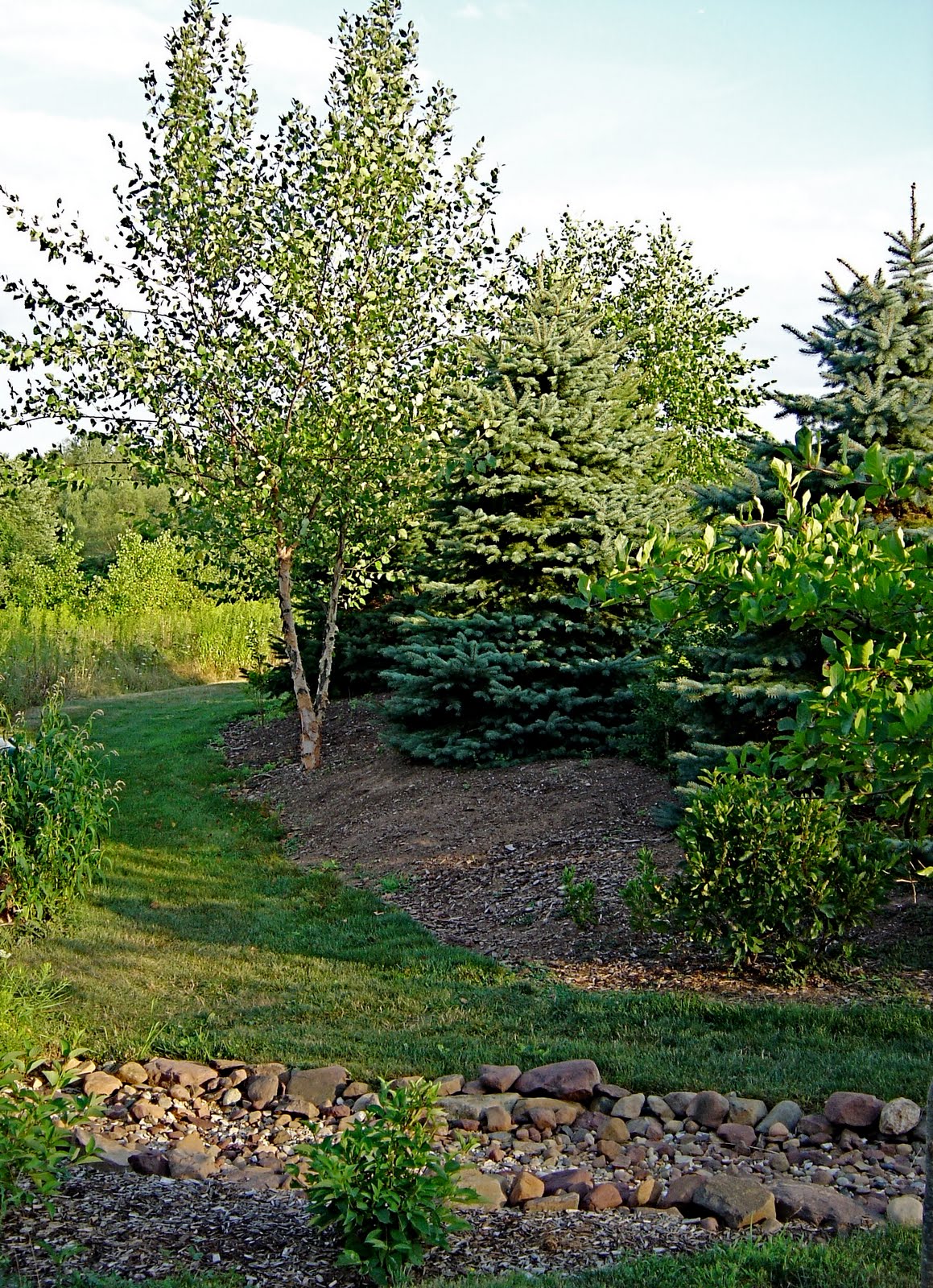 Dry Creek Bed Landscaping Ideas