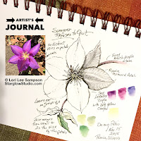 My artist's journal of nature sketches and studies.