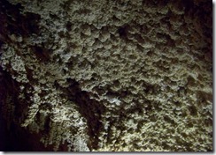 100_5539-001