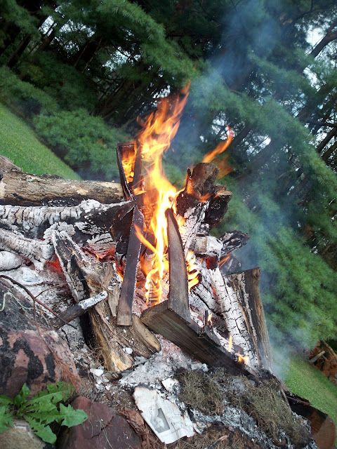 Camping in the Allegheny National Forest