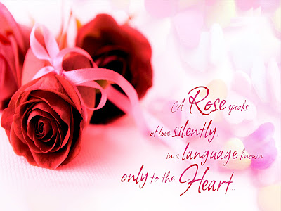 Lovely Red Rose imagesoflove