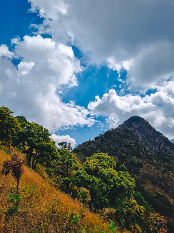 best time to visit doi pha ngam, trekking to phan ngam, trekking doi pha ngam, hiking doi pha ngam, doi pha ngam, pha ngam cliff, doi phan gam cliff, two seasons cliff