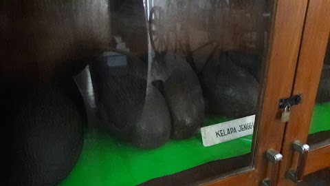 Kelapa Jenggi