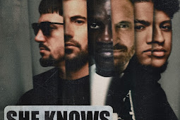 She Knows (With Akon) - Single by Dimitri Vegas & Like Mike, David Guetta & Afro Bros on Roho Music.