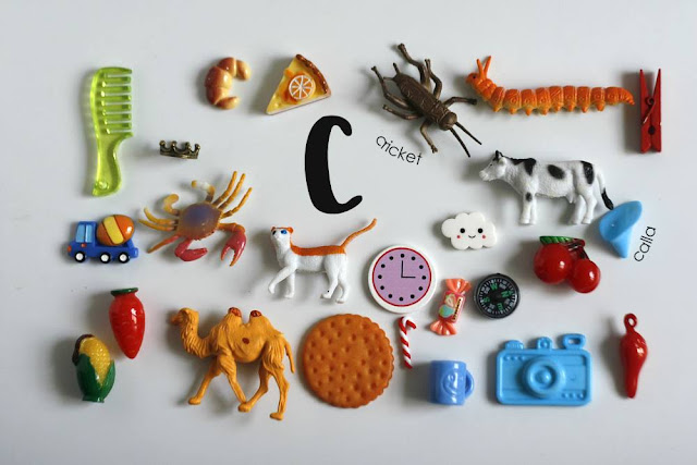 letter c Language objects for Montessori alphabet box by TomToy