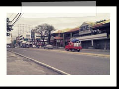 morning at mango street
