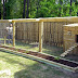 Guide How high should a chicken coop be
 