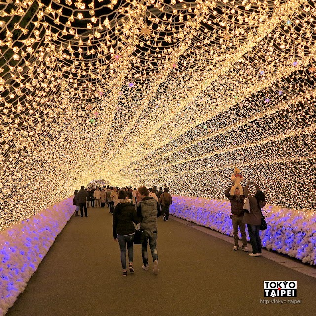 【名花之里】日本最大燈海　10層樓高燈牆演出華麗燈光秀