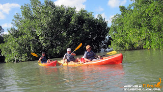 Kayak Guadeloupe