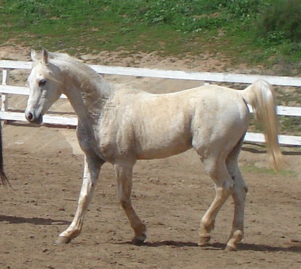 Casper After