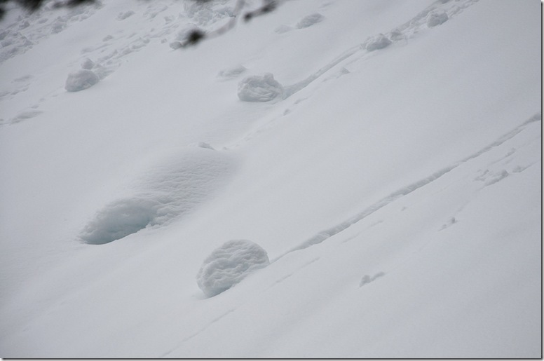 Beaver Lake-2
