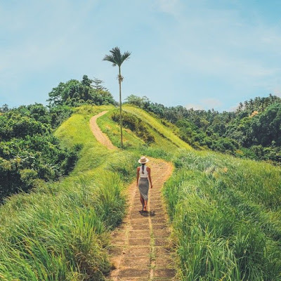 bukit campuhan ridge walk ubud map di bali gianyar maps lokasi cinta alamat tiket peta wisata sepeda cara ke lengkap sejarah foto gambar kecamatan jalan letak menuju mitos parkir dan sungai sewa objek masuk youtube 