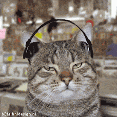 Classic Rock Cat...