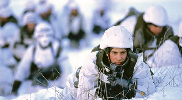 Канада проводит в Арктике военные учения Нуналивут-2013