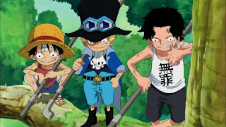 日本販売 One Piece エース幼少期 レッスンバック E299 日本全国へ全品配達料金無料 Www Cfscr Com