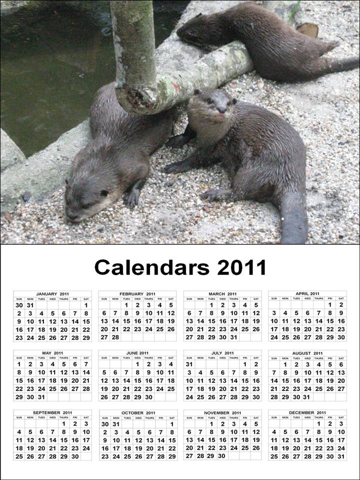 2011 calendar month by month. march 2011 calendar canada.
