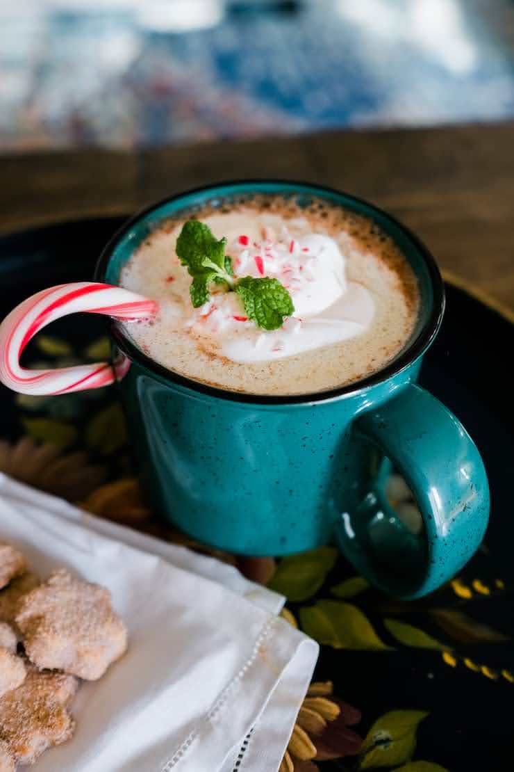 Peppermint Mexican Hot Chocolate | Muy Bueno Cookbook