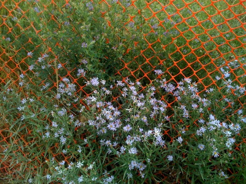 images of nature jackson wy