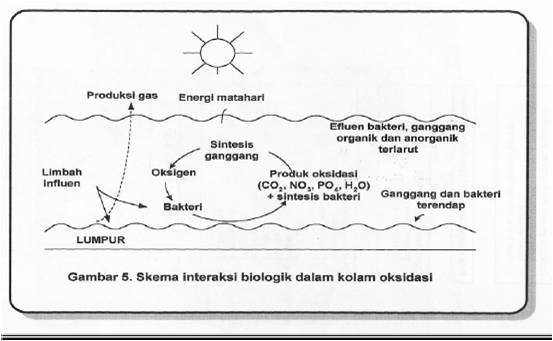 25+ Salah Satu Proses Awal Dalam Pengolahan Bahan Limbah Secara Sederhana Adalah