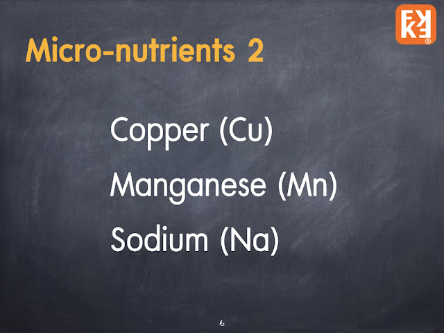 Copper Manganese Sodium