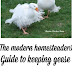 Modern homesteaders guide to keeping geese. Book and a giveaway!
