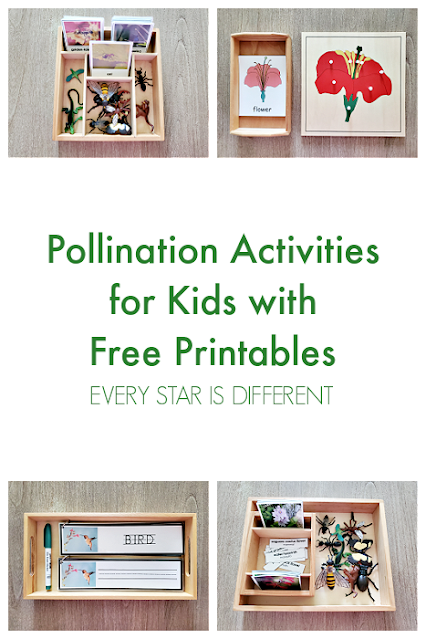 Pollination Activities for Kids with Free Printables